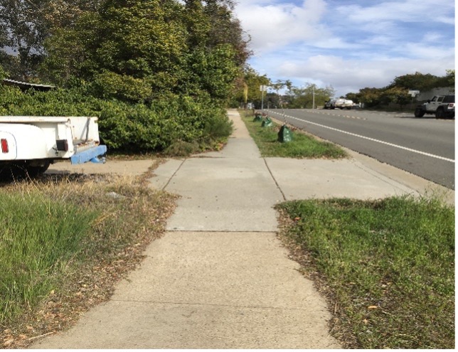 Overgrown shrubs encroaching onto the sidewalk and parkway from a private driveway, reducing pedestrian space.