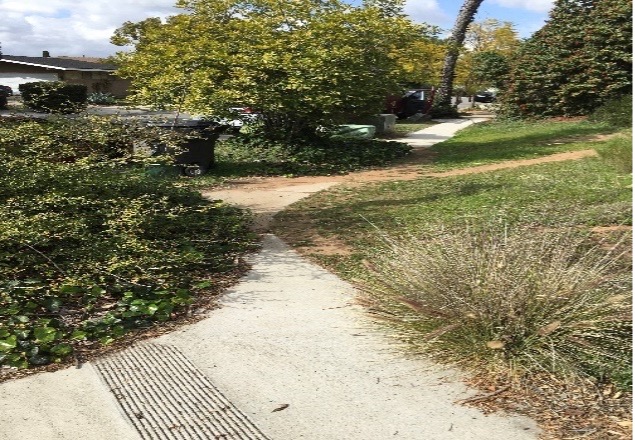 Shrubs growing into the sidewalk area, illustrating the need to trim vegetation back from pedestrian pathways.