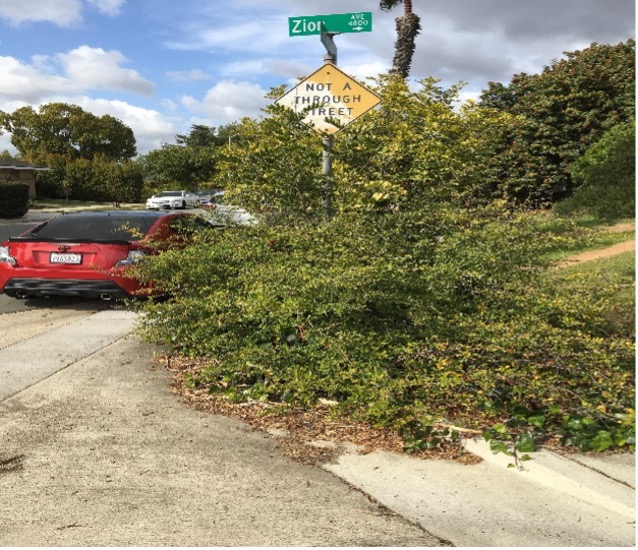 Dense shrubs extending out to the curb and partially blocking visibility of a nearby traffic sign.