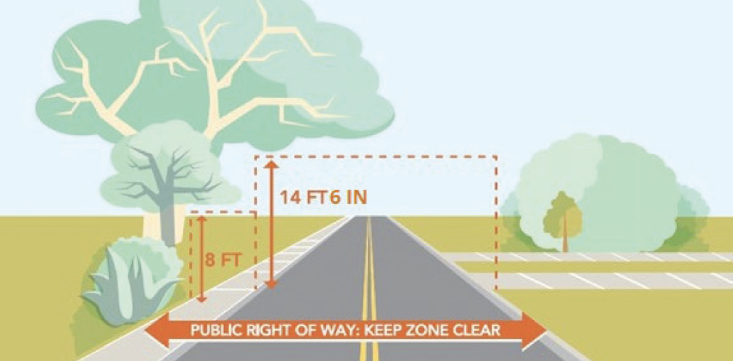 Tree branches extending over a street and sidewalk, showing how vegetation can encroach into the public right‑of‑way.